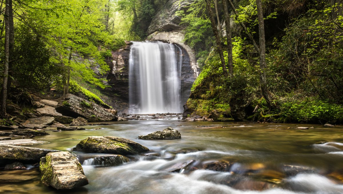 Land Of Waterfalls 250 Cascades Near Brevard NC VisitNC Com   Looking Glass Falls 2 Crop(1,0.822,0,0.020,r4) 